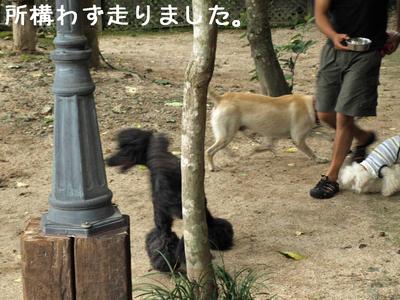 琵琶湖旅行♪　Part 1