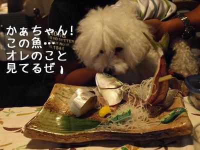 琵琶湖旅行♪　Part 2