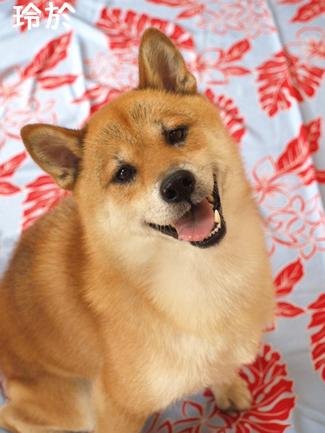 休み中は…