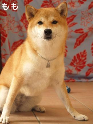 休み中は…