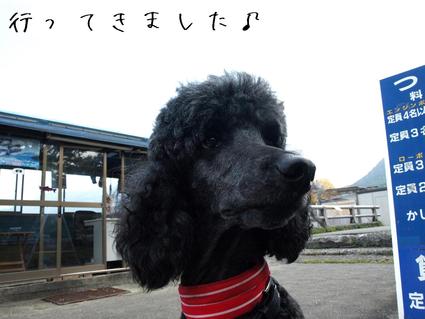 恒例…