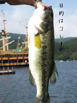 恒例…