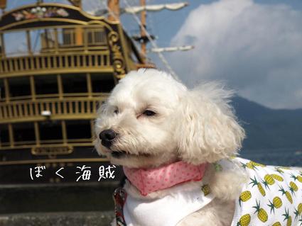 恒例…