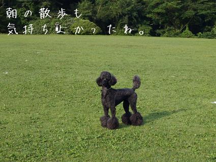 箱根旅行3