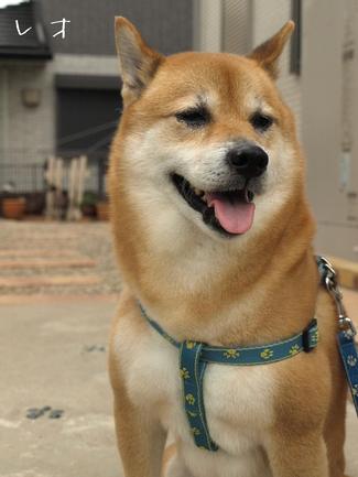 アンティークな・・・
