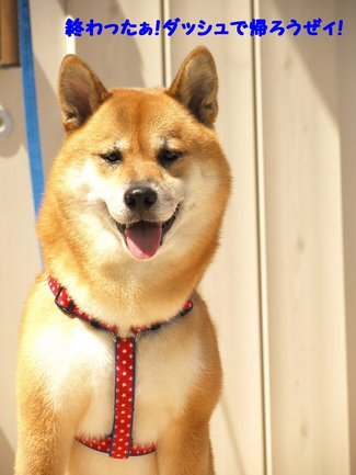 ママﾝ♪