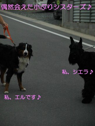 偶然♪