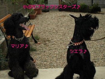 偶然♪