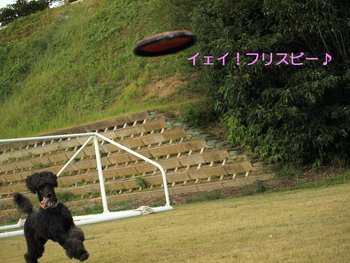 スガスガしいお散歩