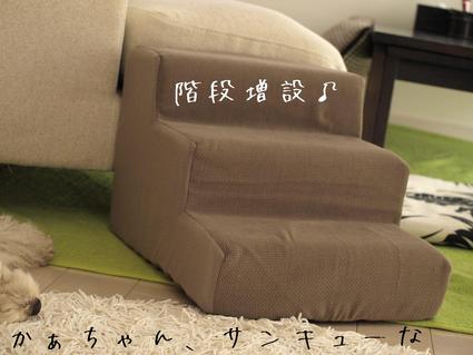 いい男揃い