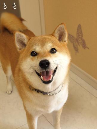 10月のカレンダー♪