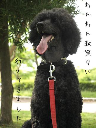週末は…♪