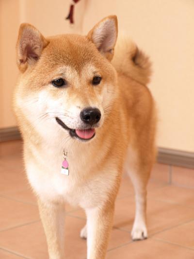 お帰り～