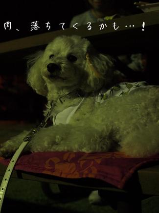 ダンスの後は…