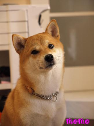 いつのまにか