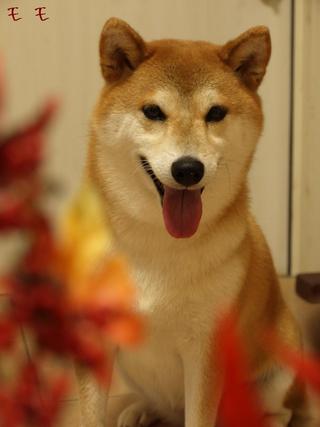 届いて…