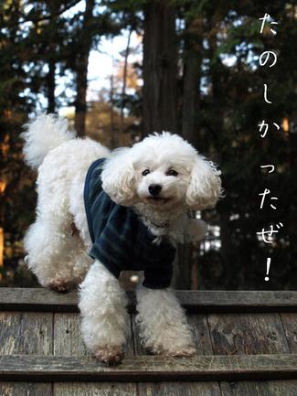 秋の河口湖♪2