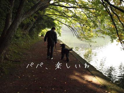 秋の伊豆旅行