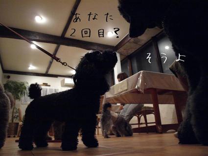 秋の伊豆旅行②