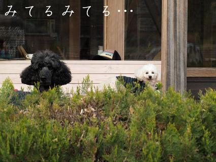 秋の河口湖♪3