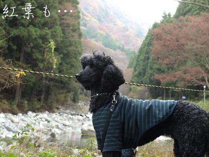 秋の河口湖♪3