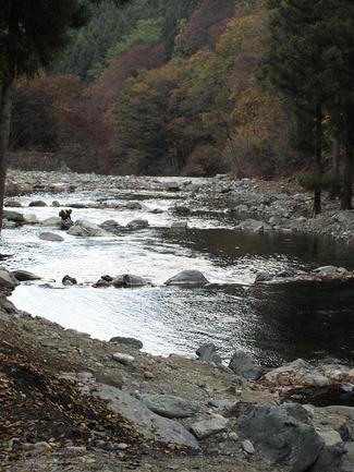 秋の河口湖♪3