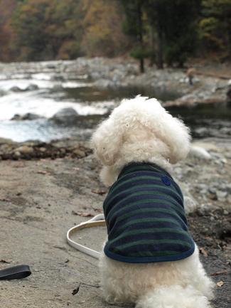 秋の河口湖♪3