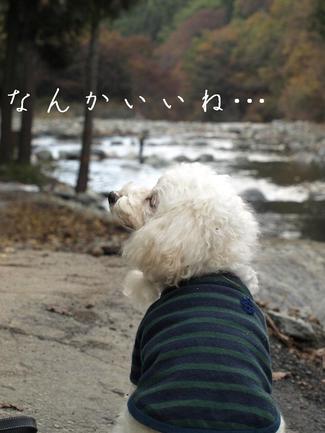 秋の河口湖♪3
