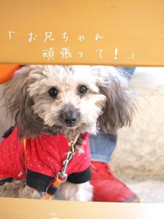 ダンス体験