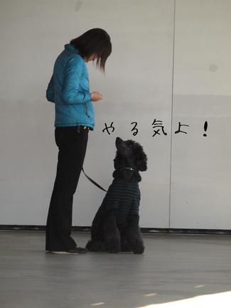 ダンス体験