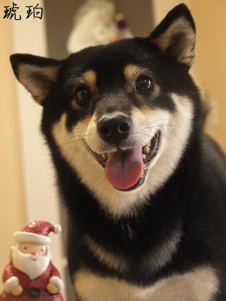 毎度