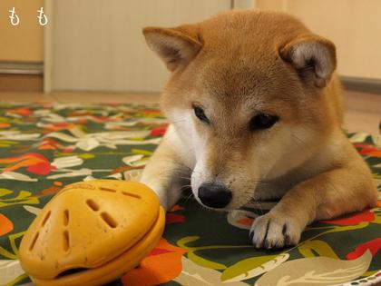 携帯から・・・