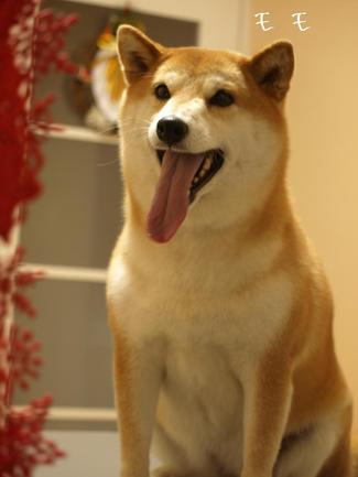 今年も…