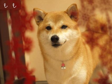 今年も…