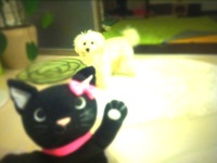 ブログが… 2012/06/19 08:50:25