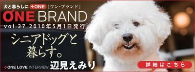 爽やかなので…
