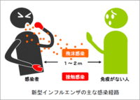 新型インフルエンザが静岡県にも上陸