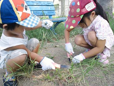 子供達と草刈りをしてきました