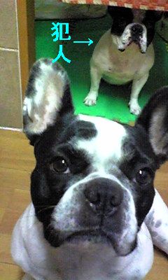 そんな殺生なこと・・・（＞＜）