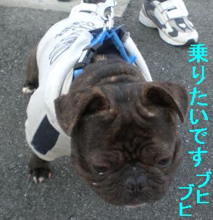 お散歩中に・・・。
