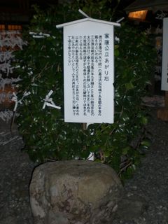 ようやく初詣