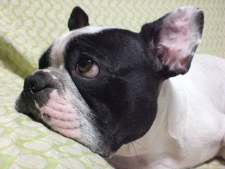 笑顔が撮れない