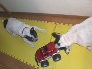 久し振りのパジェロ君