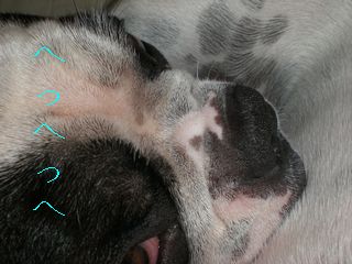 いやらしい顔してるのは？