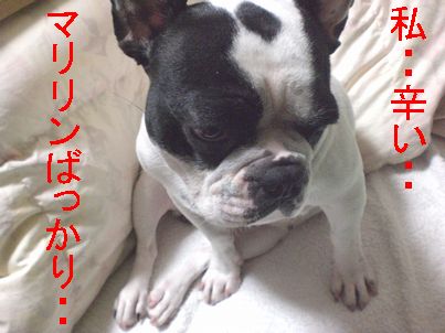 まったりして幸せ