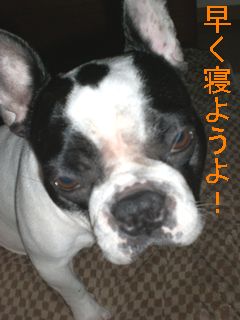 初めて見る寝姿