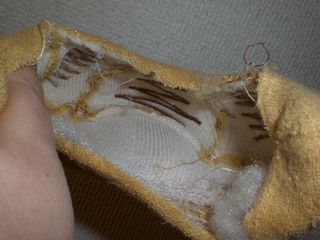 やられたーー！！（＞＜）