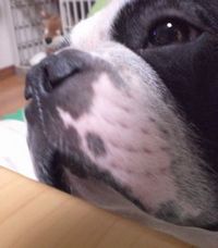 欲しくてもあげられないの 2008/02/20 13:44:36