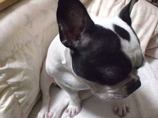 欲しくてもあげられないの