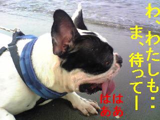 ミルキー受難の一日